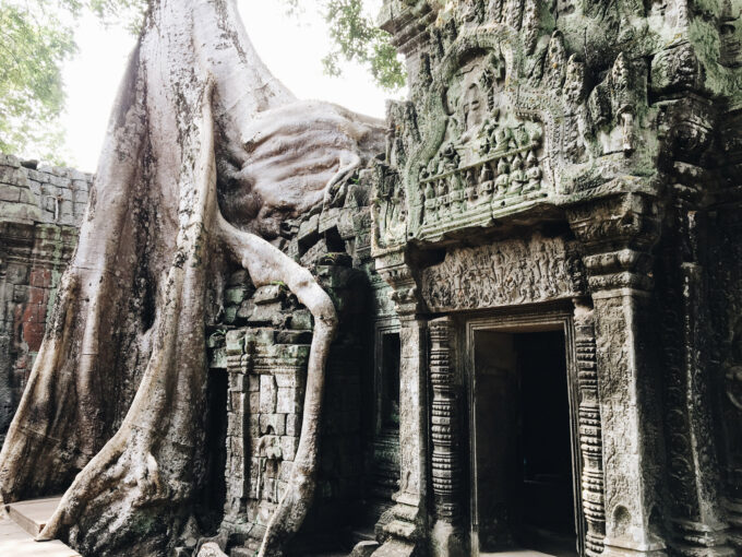 Exploring Ta Prohm | With so many things to do in Siem Reap, I felt like I barely scratched the surface and am looking forward to being back again. With lots of backpacers’ style hostels and bars/restaurants that open from early morning to midnight (at least), there’s plenty of things to do and see in Siem Reap beyond just Angkor Wat