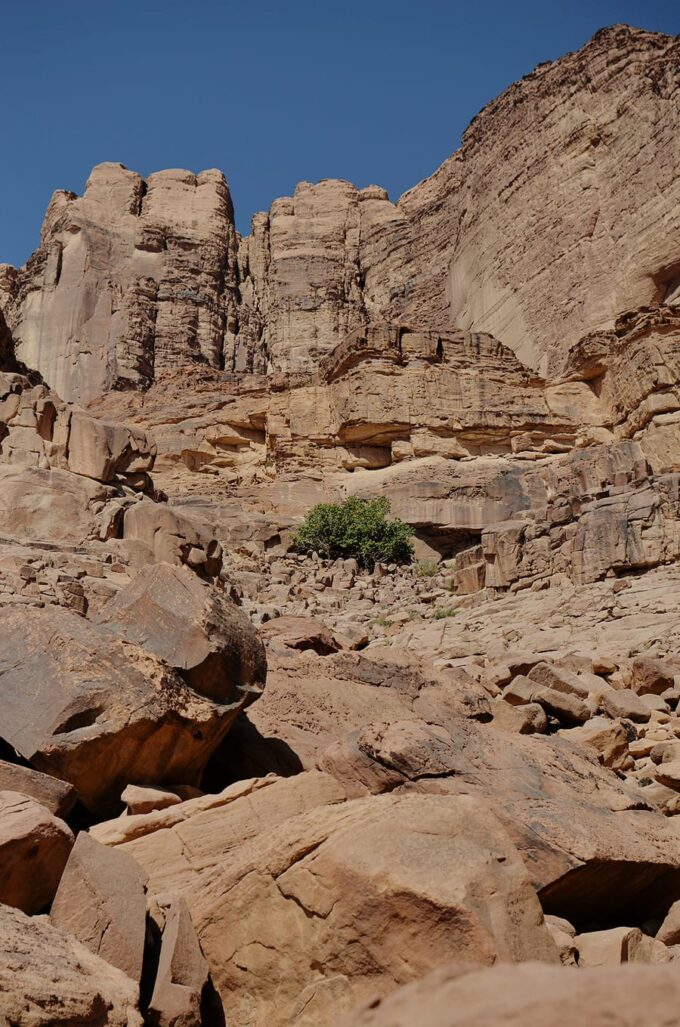 Overnight in Wadi Rum | Sleeping in the Desert - Lots of Nabatean inscription can be found on the rocks at Lawrence Spring