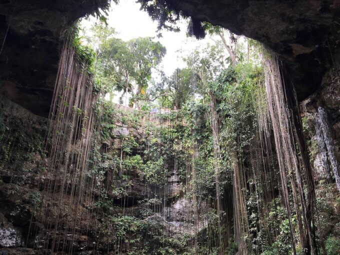 Postcard From | Visiting Cenotes in Mexico 2