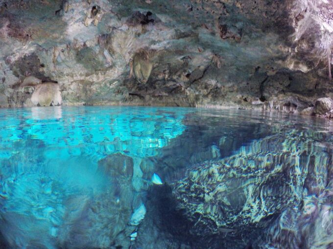 Postcard From | Visiting Cenotes in Mexico 3