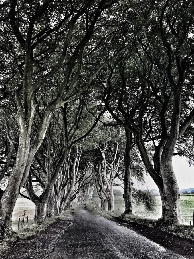 Winter is coming. And so is the last season of HBO’s hit show, Game of Thrones. Of course I had to do the Game of Thrones tour in Ireland on a recent trip.