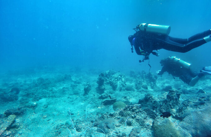 Incredible visibility underwater - diving through the corals and fishes is far more impressive in-person!